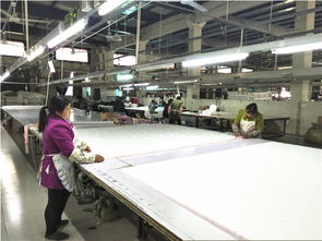 良心推荐 小永远羽绒被加工厂品质优价廉，诚招代理加盟